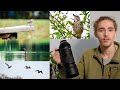 Neighborhood Wildlife Photography | Birding with my D750 and 100-400mm