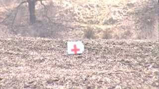 tannerite vs microwave