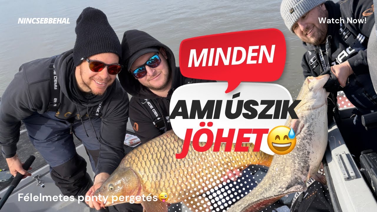 Valentin napi❤️süllőzés, pontyozás úgy hogy a harcsa, nemtudta hogy tilalom van rá😅😱