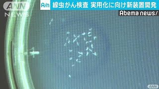 線虫の嗅覚で高精度のがん検査　実用化に向け進化(18/07/04)