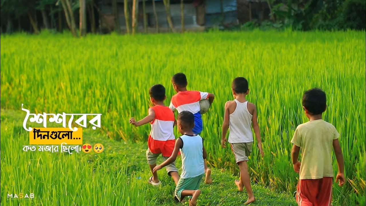 Canon 200D Mark ii Cinematic Video | 