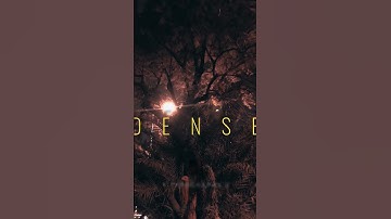 Start Using Lens Distortion Now! 🫵