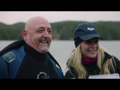 Hot Docs 2021 Trailers: HELL OR CLEAN WATER