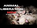 Peter Singer: The BRUTAL Nature of Factory Farming