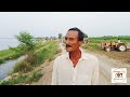 Sutlej River| High Alert in Bahawalnagar |Latest Update |public Views