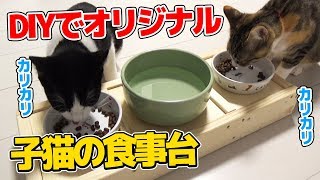 1x材で簡単DIY子猫のオリジナル食事台づくり：おつたま31日目