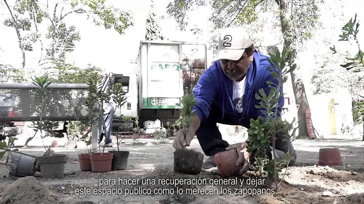 Rehabilitacin Andador Aurelio Ortega