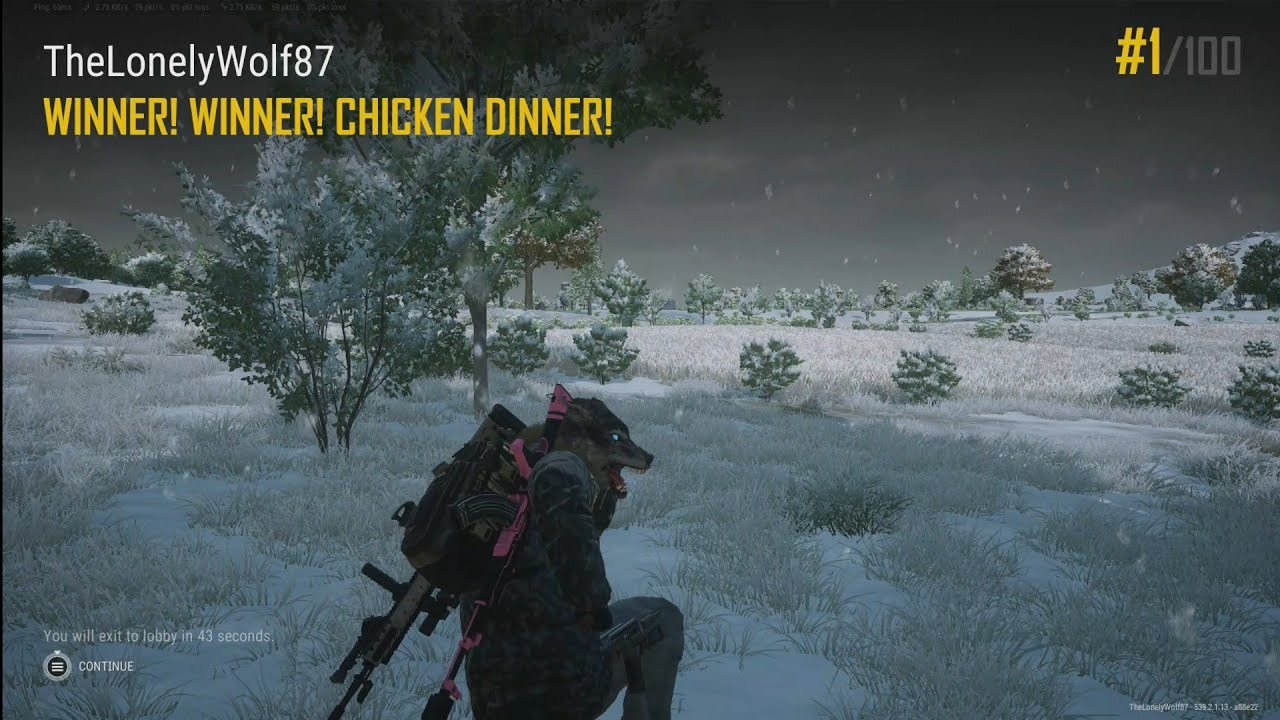 PUBG: Battlegrounds Solo Xbox Series S Gameplay 89