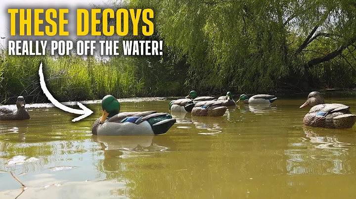 The Color on these Mallards POP off the Water! (Avian-X Topflight Fusion Extreme Mallards)
