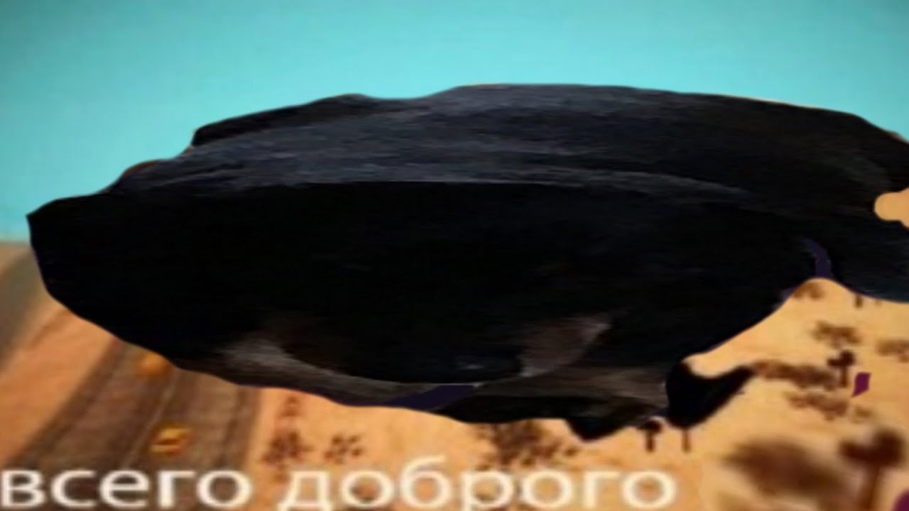 Очный брифинг команды CPC (16.03.2022)