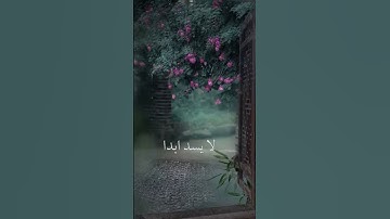 تلاوة جميلة للقارئ حسين ابو عبدالرحمن | ان الذين يحادون الله ورسوله #story
