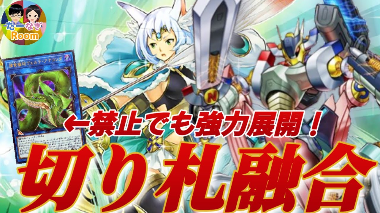 遊戯王 セームベルの新規 絆醒師セームベル登場 Dama新規 Youtube