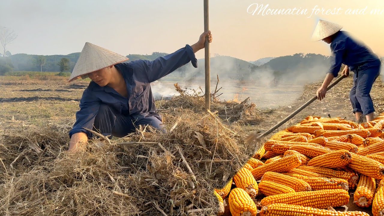 cleaning corn fields, chopping bananas for fish, mountain and river ...