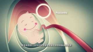 Cellsafe Biotech Corporate Video