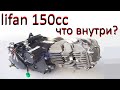 Обзор двигателя лифан 150 для мопеда альфа дельта питбайка