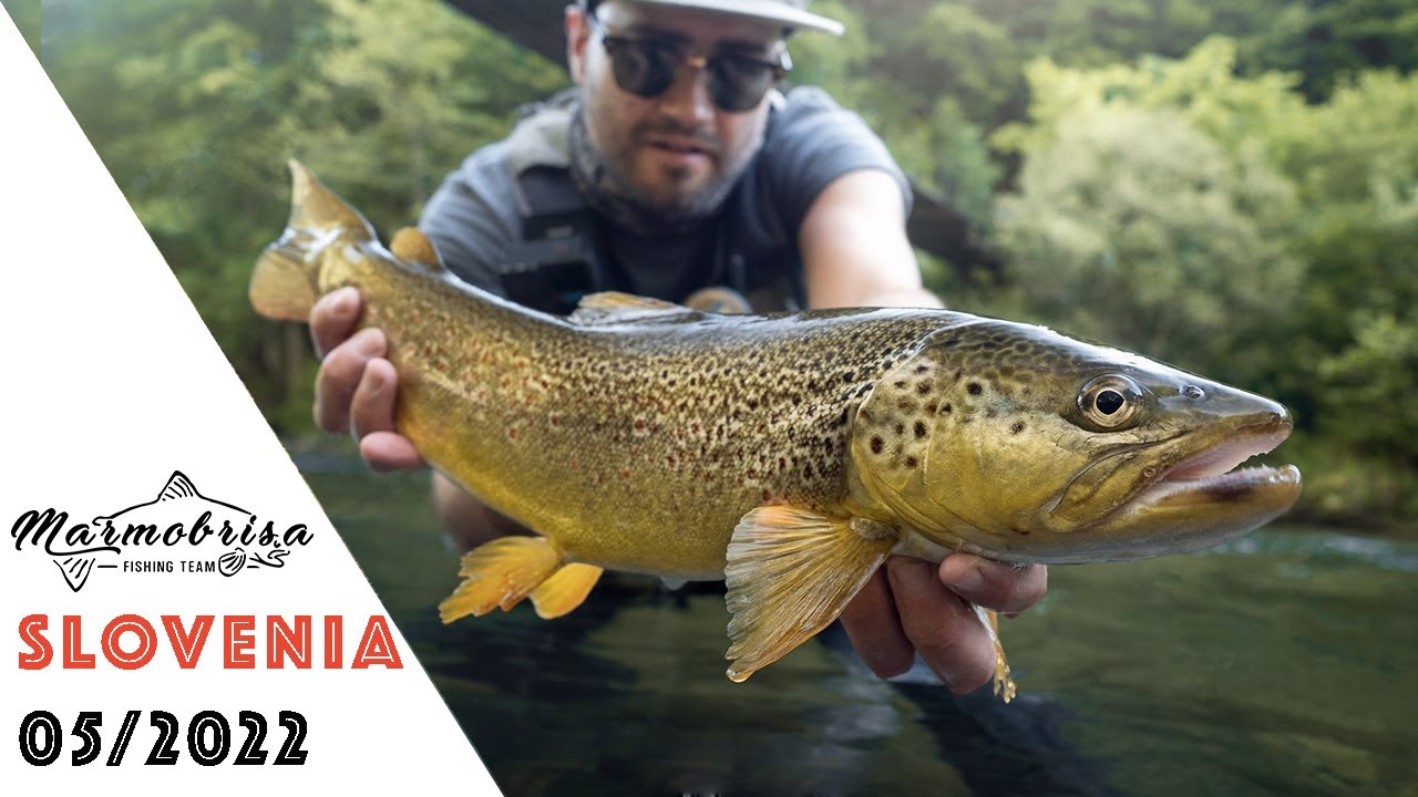 IL MOSTRO SLOVENO 🇸🇮 - il fiume delle trote record! 🎣