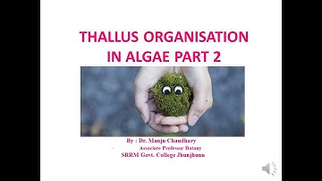 THALLUS ORGANISATION IN ALGAE PART 2 BY DR. MANJU CHAUDHARY