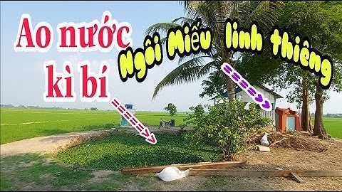 Kì lạ ao nước trên 100 năm không cạn bên Ngôi Miếu Ông Tà linh thiêng ở giữa đồng