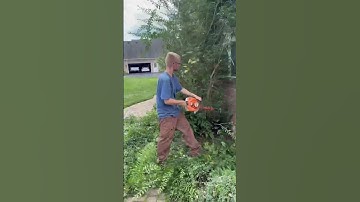 Huge transformation overgrown landscape #transformation #beforeandafter #satisfying #diy #asmr #work