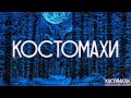 Страшные истории на ночь-Костомахи