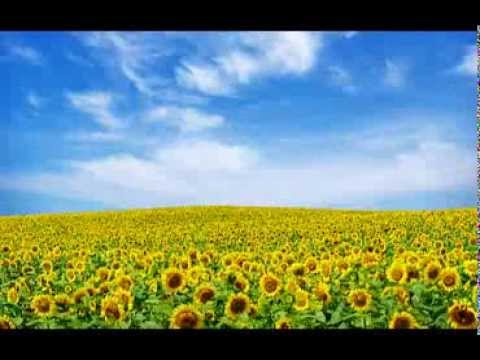 vegan diet benefits Meditative Hypnosis for Success with the Mucusless Diet Healing System by Prof. Spira