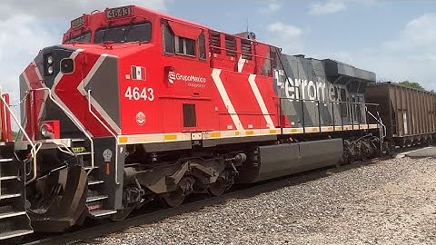 Ferromex Zebra ES44!! BNSF 6098 leads a NB coal empty on 6/15/22!