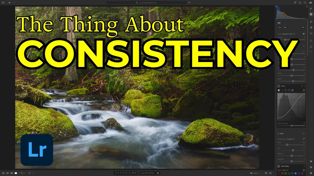 Один комментарий полностью изменил мой рабочий процесс в Lightroom.