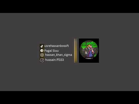 Hassan Boss FT Live Stream