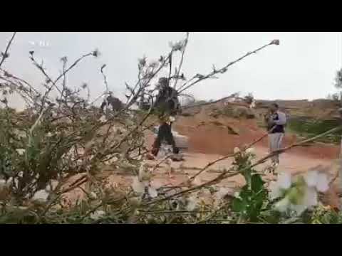 اشرف رعايش 3 حلقة 7 ام الجرسان اشرف رعايش 3