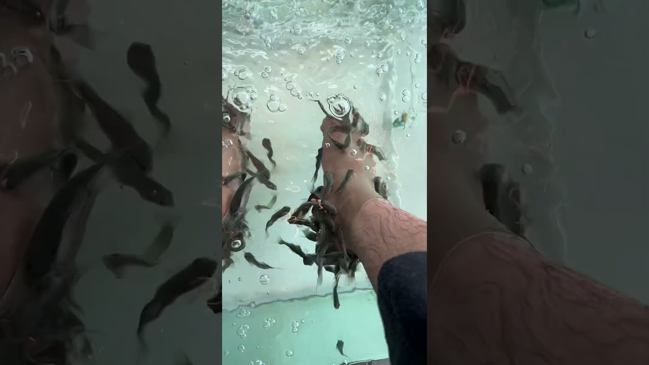 #fishmassage