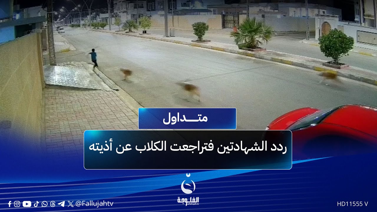 ردد الشـ.ــ..ـهادتين فتراجعت الكلاب عن أذيـ..ـ..ـته..طـ..ـ,,ـفل يصبح حديث السوشيال ميديا  | #متداول