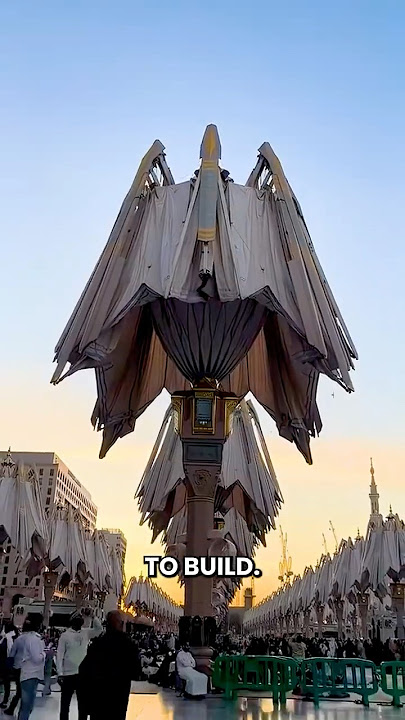 The World's Largest Billion Dollar Umbrella