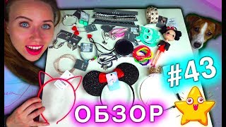ОБЗОР МОИХ НОВЫХ УКРАШЕНИЙ ДЛЯ ЭЛЛИТЫ КОНКУРС #43 | Elli Di Pets ОБЗОР МОИХ НОВЫХ УКРАШЕНИЙ ДЛЯ ЭЛЛИТЫ КОНКУРС #43 | Elli Di Pets