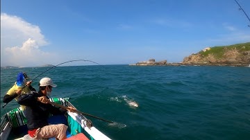 Câu jig cá biển gần bờ,đủ loại cá tươi ngon cùng ae chuyên câu jigger