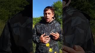 BEES: THE F1 ENGINE 🏎️🐝 #beekeeping