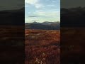 I Love Hunting In The Land Of The Rising Sun!