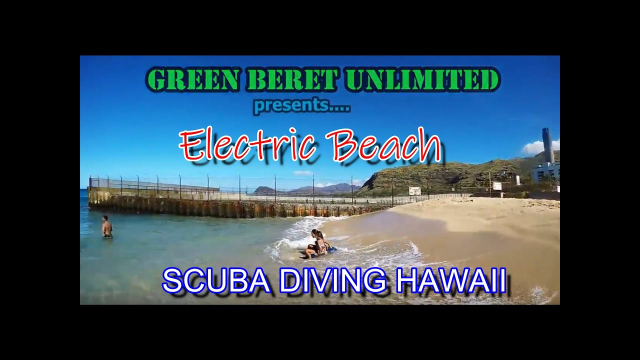 Scuba Dive at Electric Beach, Oahu, Hawaii YouTube