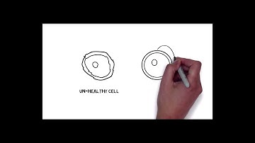 Structured Water [How It Works 2020] Magnetic Fields & Polarity of Water