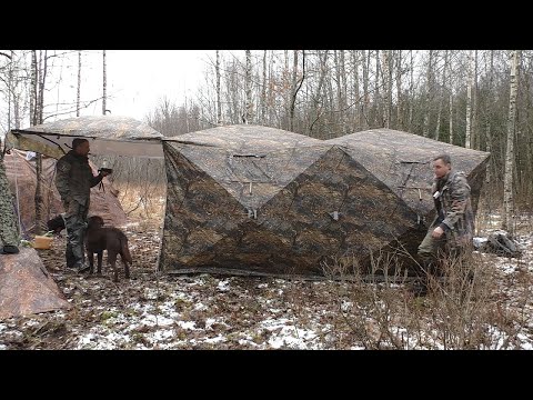 Лесные апартаменты от
