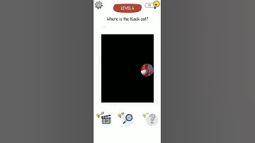 Who is? Brain Teaser & Riddles Level 6: Where is the black cat? #shorts