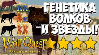 видео: Основы селекции волков! Количество звёзд! WolfQuest: Anniversary Edition картинка: Основы селекции волков! Количество звёзд! WolfQuest: Anniversary Edition