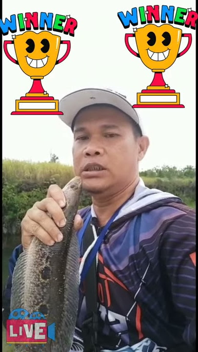 Pemirsa..cuacanya haredang, bikin panas yang nonton 😂😂