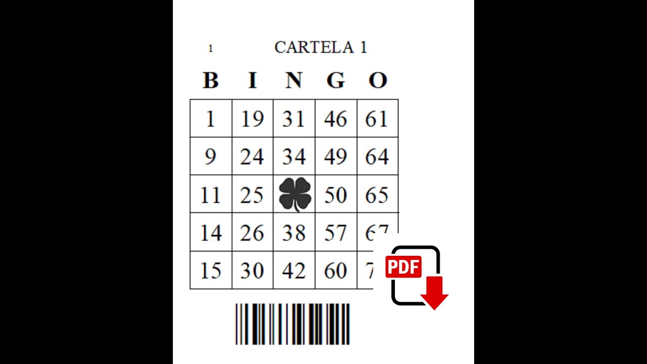 Regras Video Bingo : Ludijogos