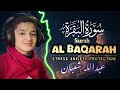 Surah Al Baqarah By Abdullah Ahmed Shaban In Smooth Voice Recitation سورۃ البقارہ Full