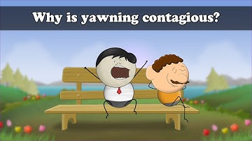 Why is yawning contagious? | #aumsum #kids #science #education #children