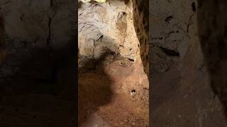 Кто жил в пещере Таврида 1,5 млн лет назад ? #природа #крым #nature