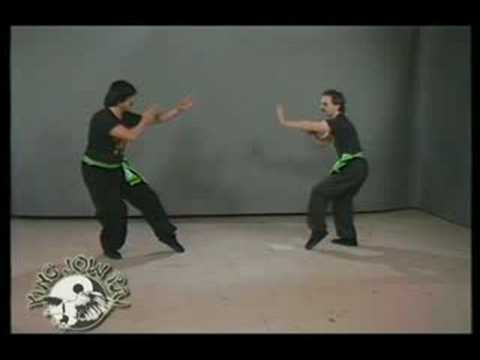 Eagle Claw Kung Fu Fighting Principles
