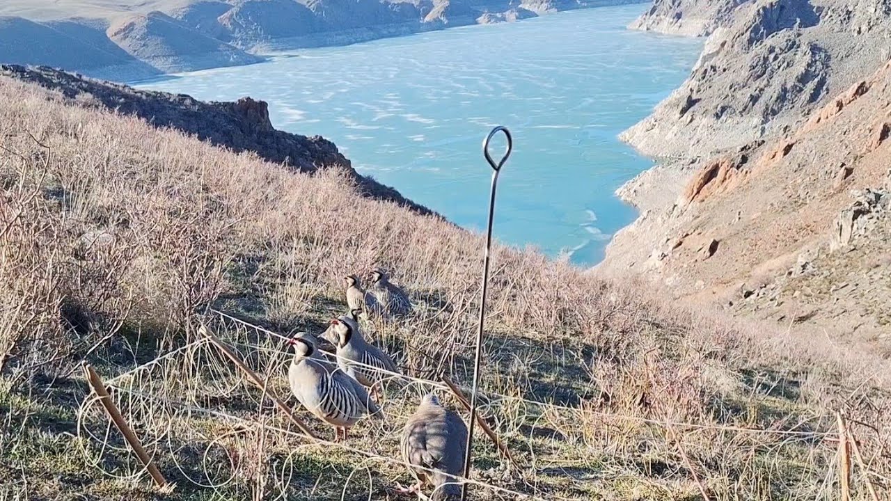 3 марта 2026 г.