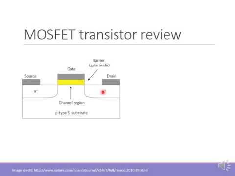 Graphene Transistors