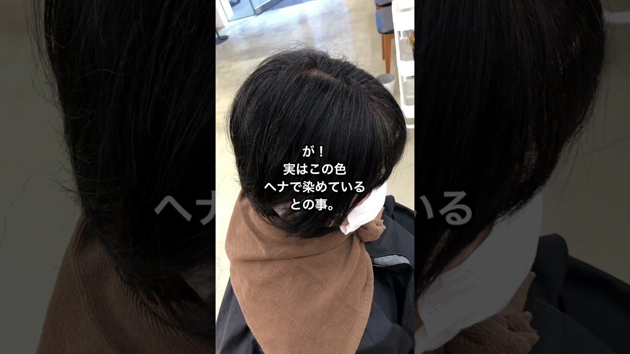 ヘナ履歴のお客様にハイライトを入れてみる案件 Youtube ヘナ履歴のお客様にハイライトを入れてみる案件 Youtube
